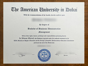 American University in Dubai
