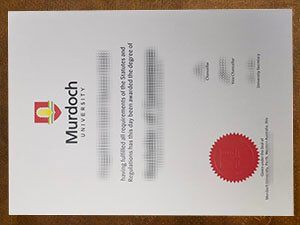 Replica Murdoch University diploma