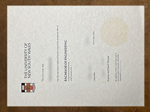 University of New South Wales