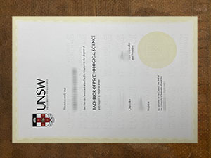 University of New South Wales