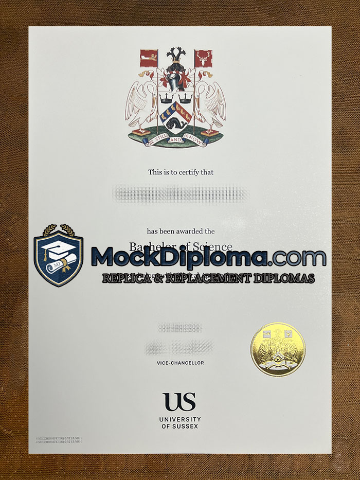 University of Sussex diploma