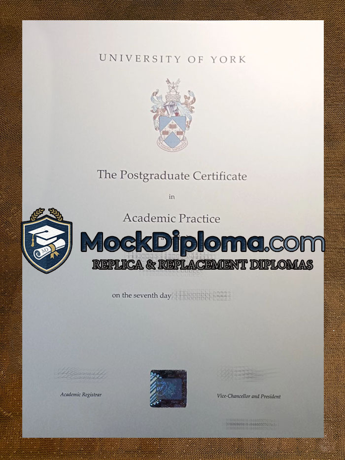 University of York degree