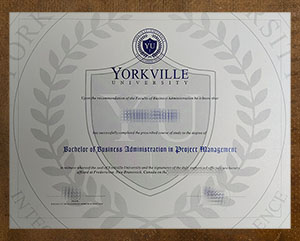 Yorkville University