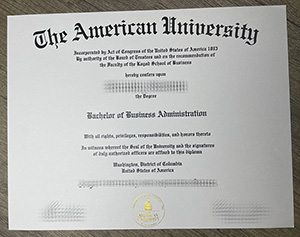 American University