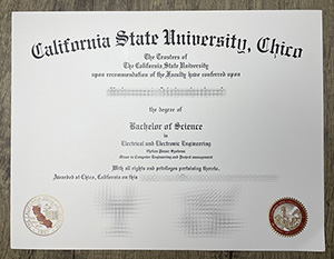 California State University Chico