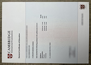 Cambridge International Examinations
