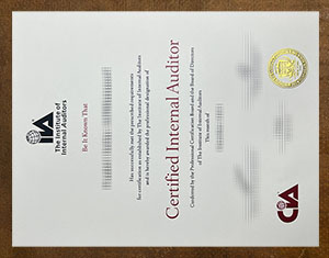 Certified Internal Auditor