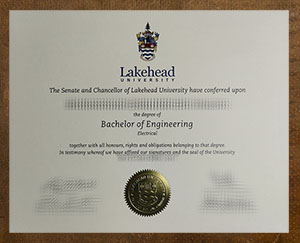 Lakehead University