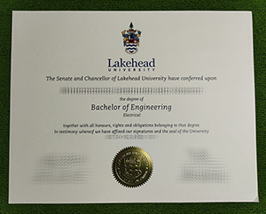 Lakehead University