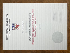 National University of Singapore