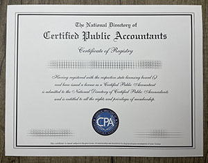 State of New York CPA