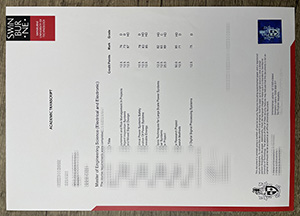 Swinburne University of Technology