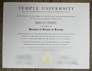 Temple University