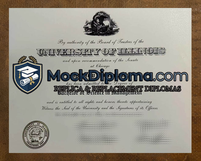 University of Illinois degree