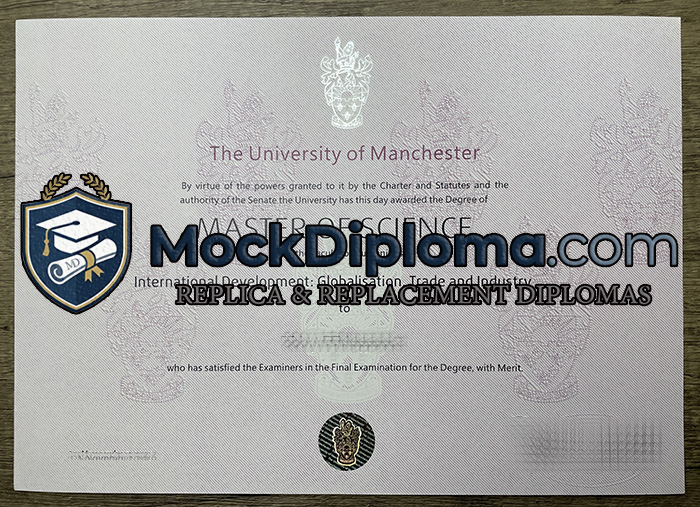 University of Manchester degree