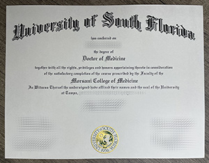 University of South Florida
