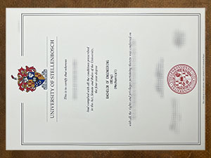 University of Stellenbosch