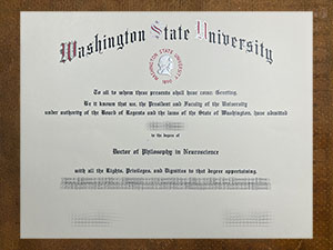 Washington State University
