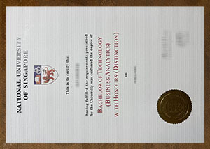 National University of Singapore