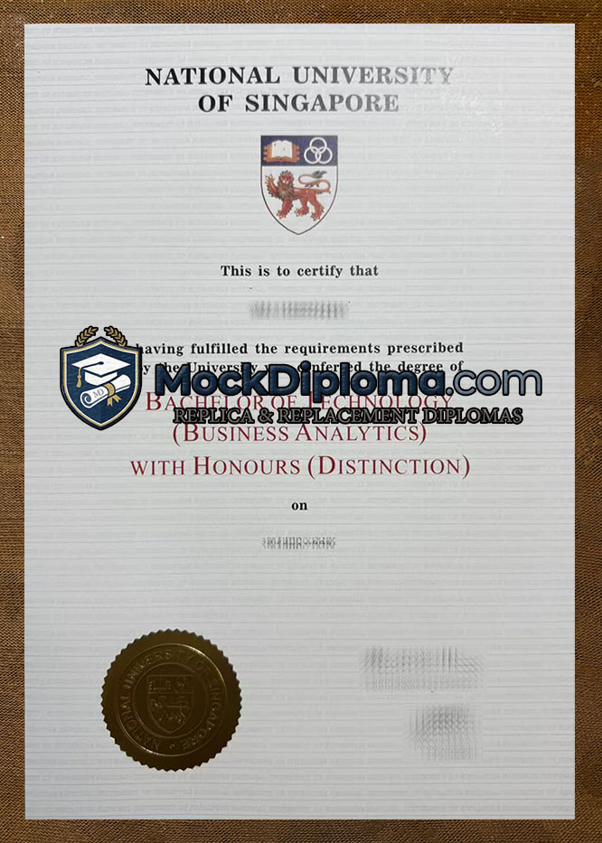 National University of Singapore diploma