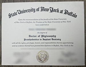 State University of New York at Buffalo