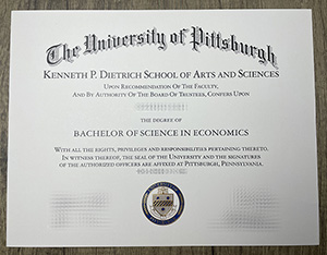 University of Pittsburgh