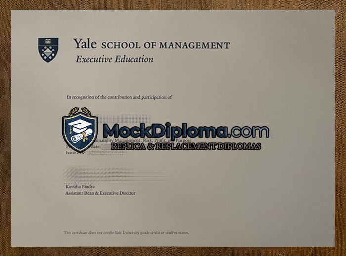 Yale School of Management degree