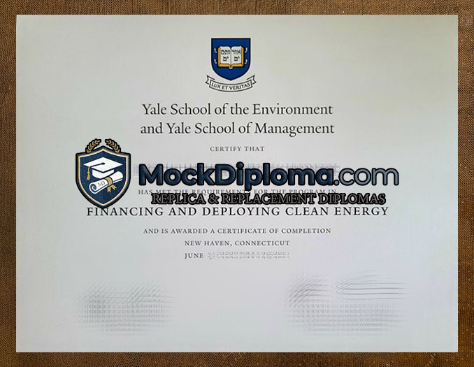 Yale School of the Environment diploma