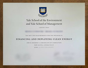 Yale School of the Environment