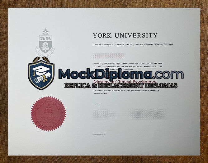 York University degree