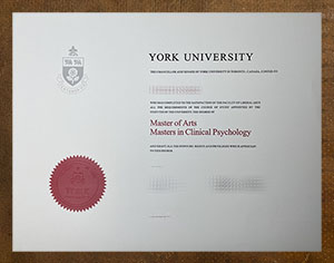 York University